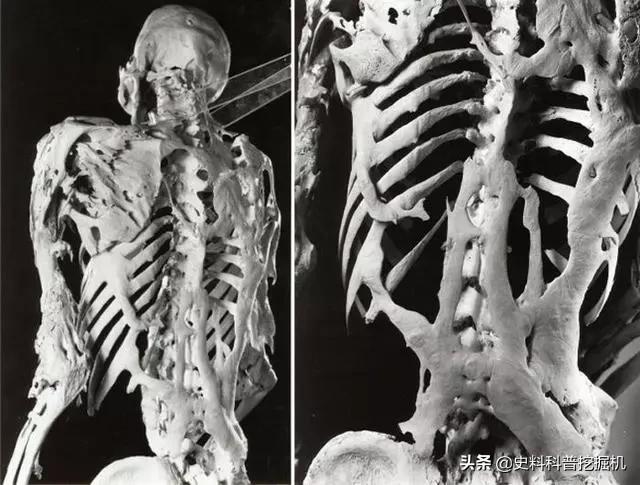 11个鲜为人知的奇怪冷知识,都让你怀疑它们是不是真的