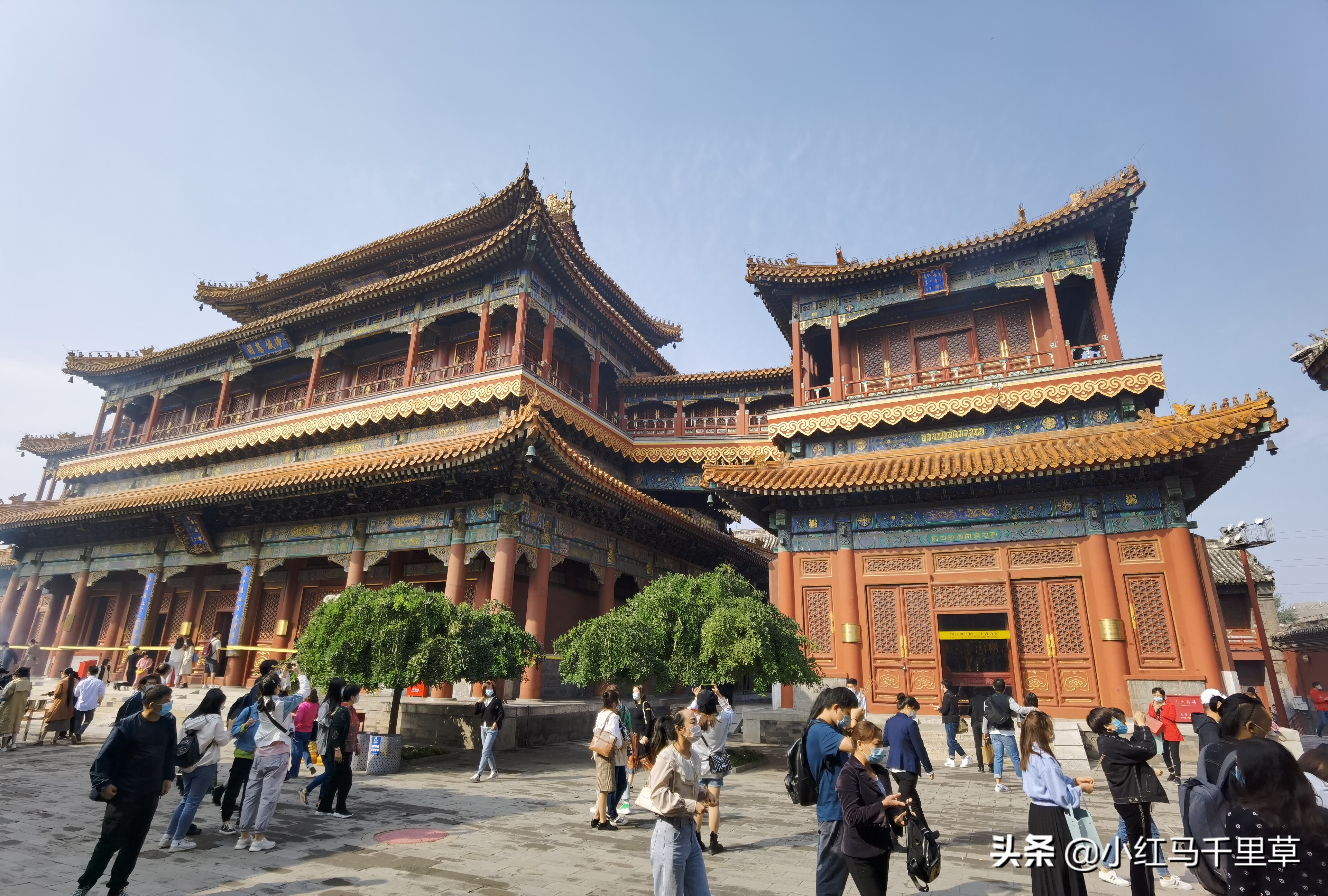 雍和宫游览记,北京行记