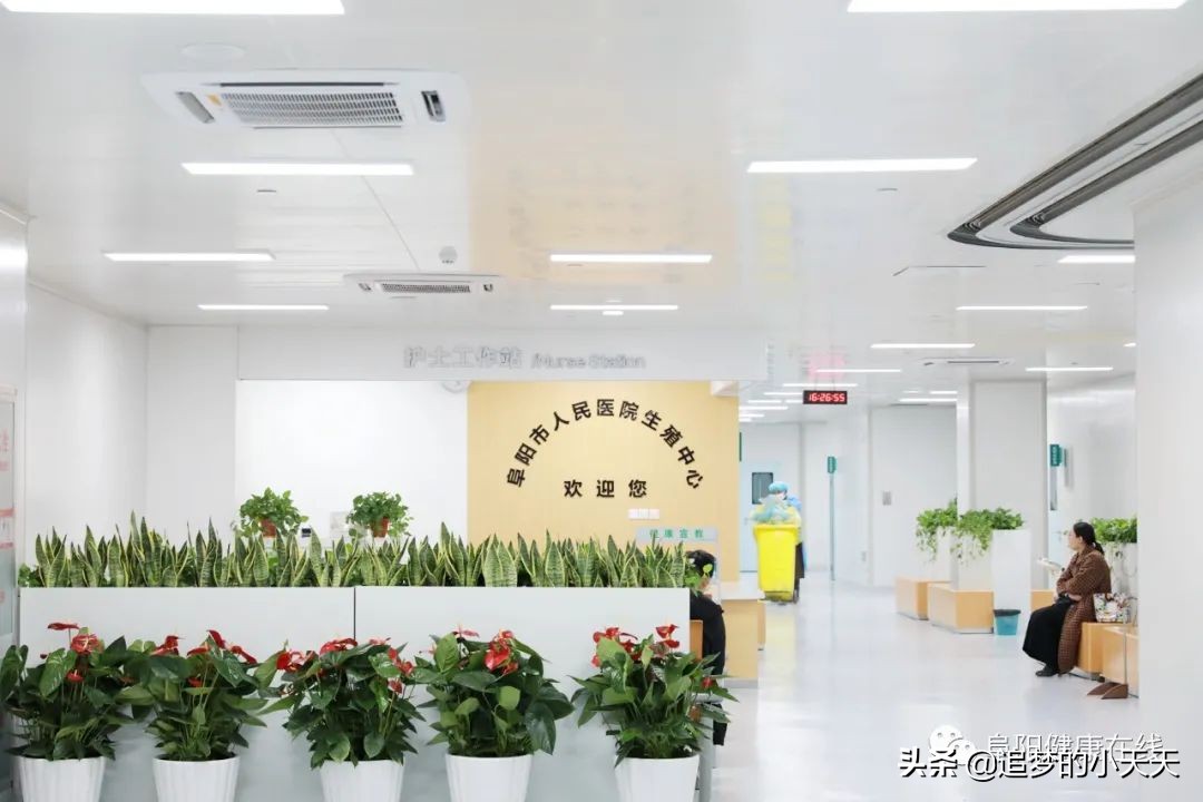 阜阳试管婴儿成功,阜阳市人民医院试管婴儿