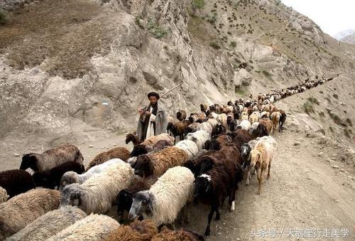 阿富汗是一个强大的国家吗,彻底了解阿富汗