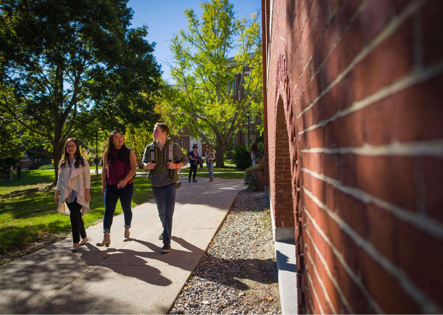 英语专业学生如何摆脱困境,一年级学英语有挫败感