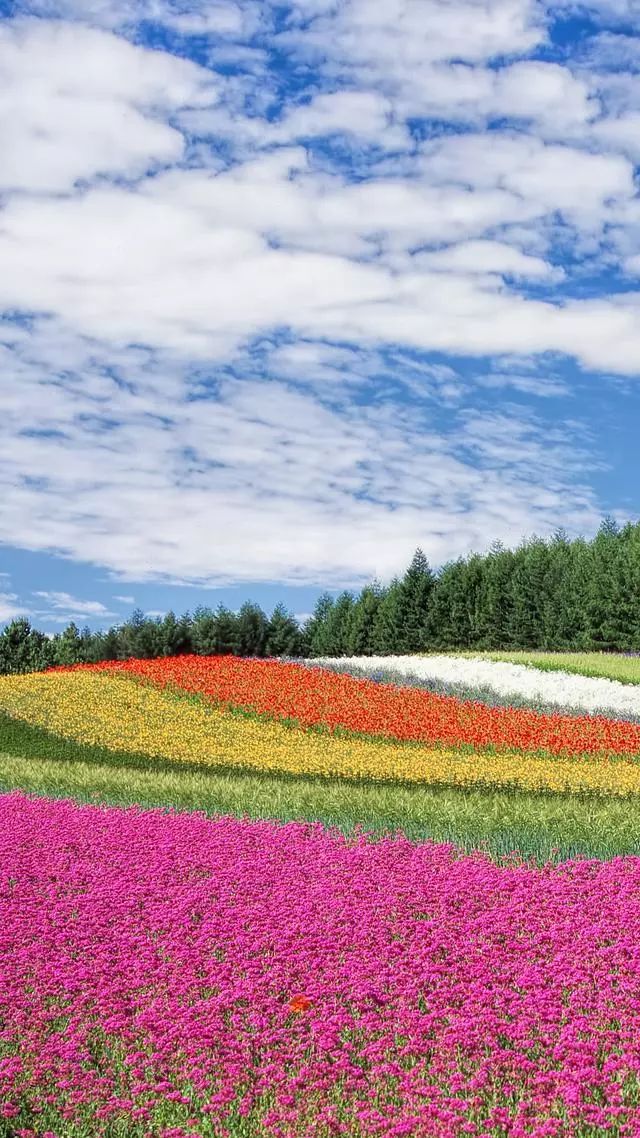 「儿童主播袁泽铭」《在路上》作者：碑林路人