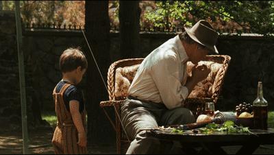 床上的马头是真的假的？桑尼挨了多少枪？好莱坞经典「教父」解密