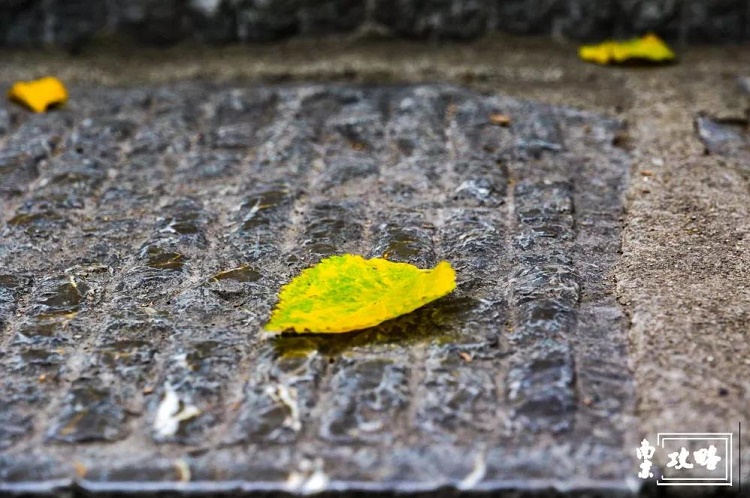 南京燕子矶游玩攻略,燕子矶游玩攻略一日游