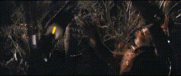 十部电影告诉你都爱小李子,小李子的十部必看电影巅峰之作