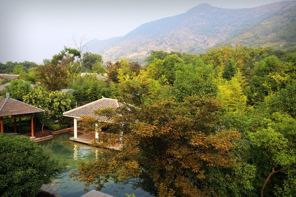 巢湖著名的水上三珍是什么,巢湖最佳风景