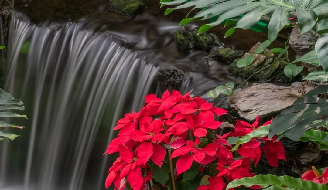 索尼fe24-105mmf4goss价格,索尼fe24-105mmf4能在尼康上用吗