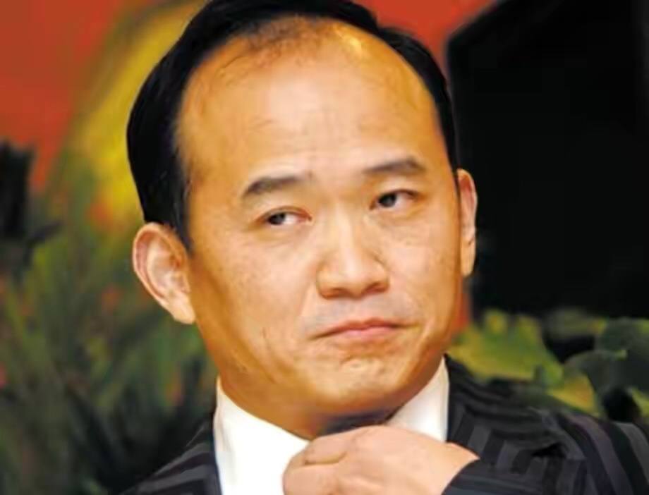 湖北前首富为何锒铛入狱,湖北前首富获国家赔偿