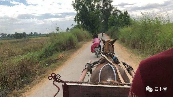赶马车真实视频,赶马车的mv音乐
