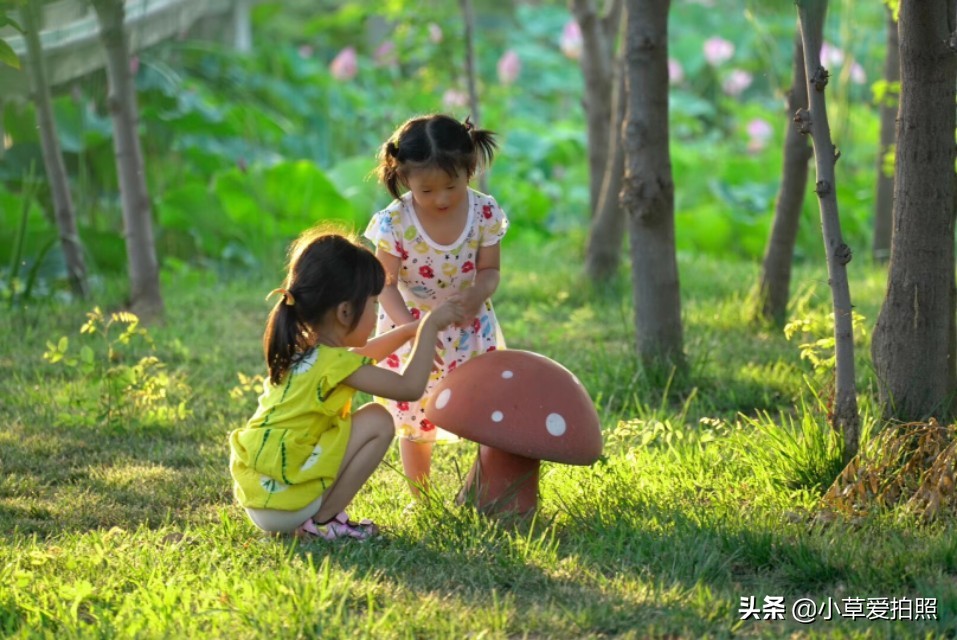 威海羊亭在哪里,威海羊亭花店