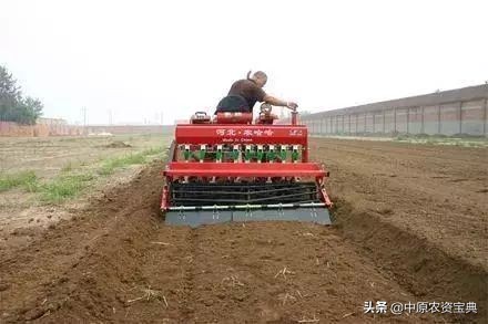 小麦发黄死苗用什么药治疗,预防小麦越冬死苗的措施包括哪些