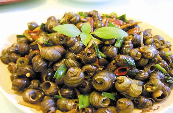 田螺好吃有诀窍大厨教你正确做法,田螺怎么做才好吃呢视频教程