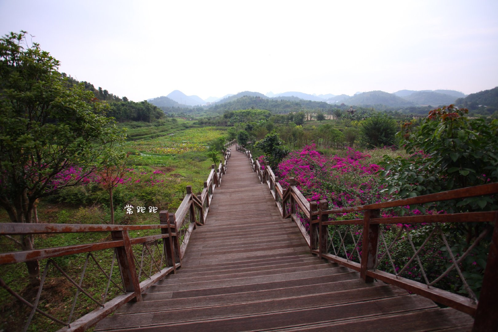 黄果树瀑布桃花源,贵州安顺黄果树瀑布特色
