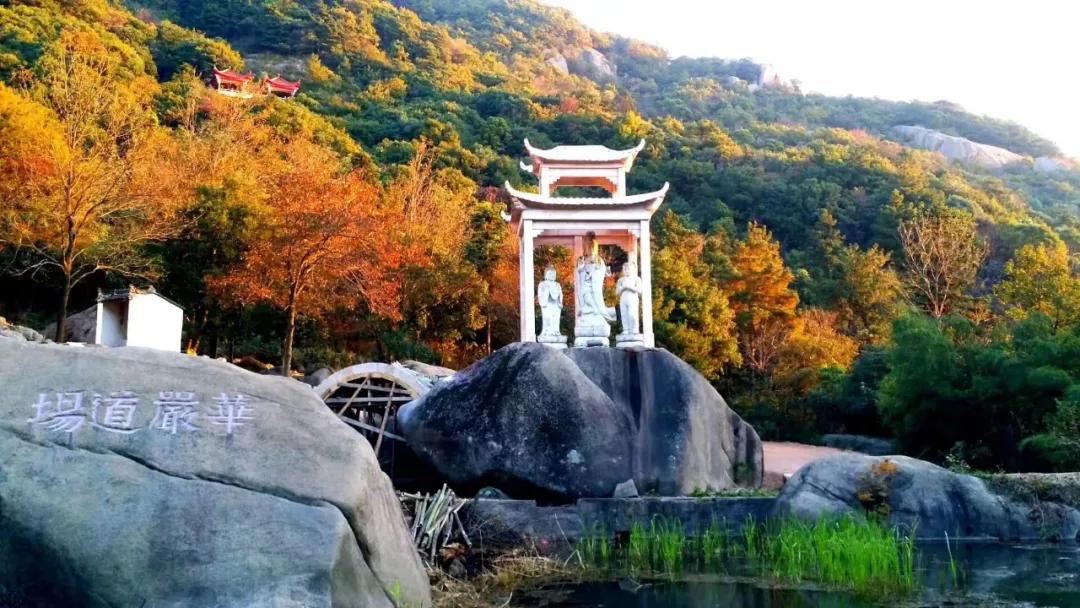 袈裟披肩不染凡尘：我的出家和回家之路