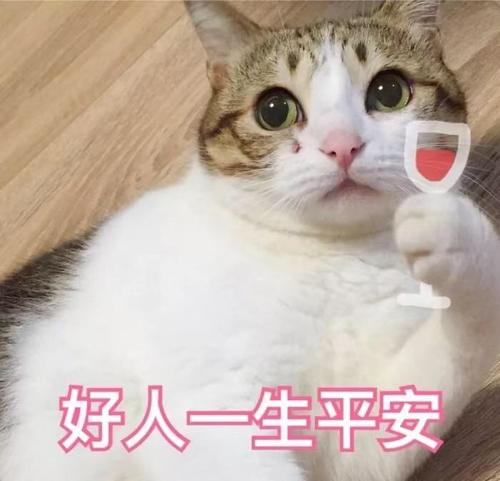 宠物猫泪痕去除神器,宠物猫泪痕怎么去除最快最有效