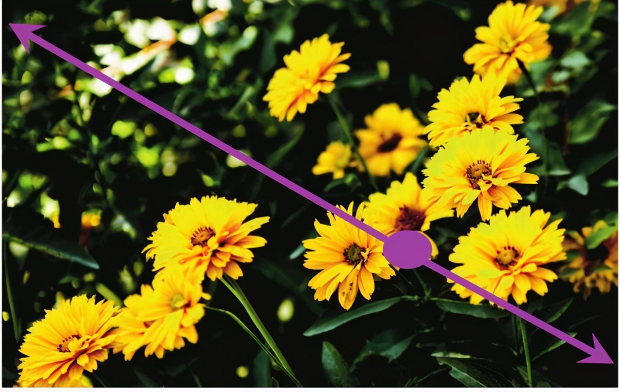 摄影基础中对景深的理解,摄影景深详解教程