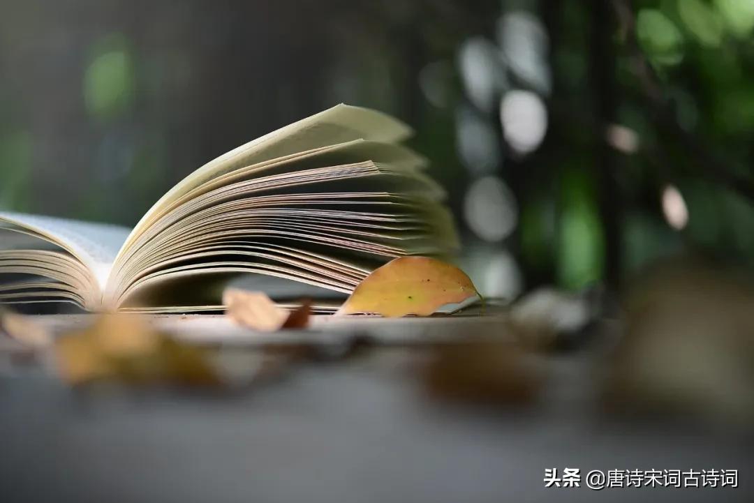 秋日读诗视频,给孩子读诗秋日