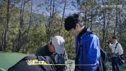 头大剪毁后需要很长时间补救,头大修复