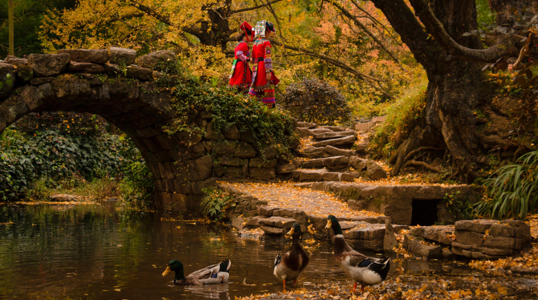 六盘水的缺点,什么是六盘水的特色