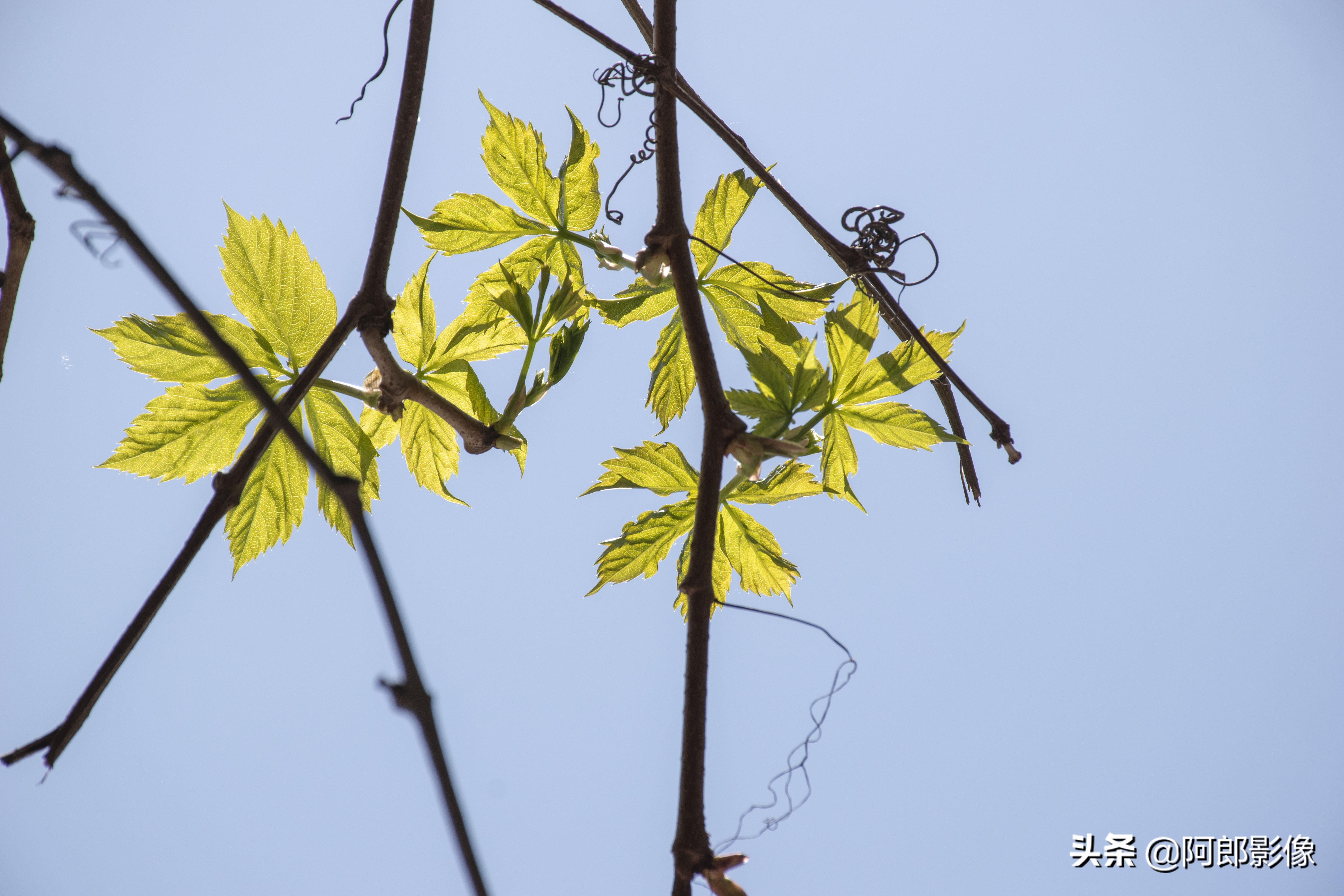 单反摄影入门必备器材清单,跟着阿牛师傅学知识