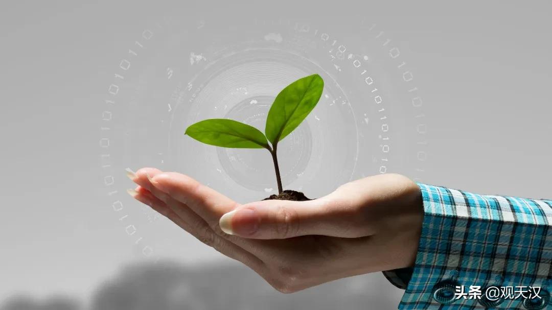 人肉搜索涉及到哪些违法行为,人肉搜索属于违法哪一条