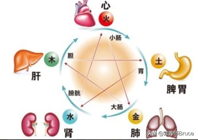 舌头观察身体症状,舌头观察健康状况