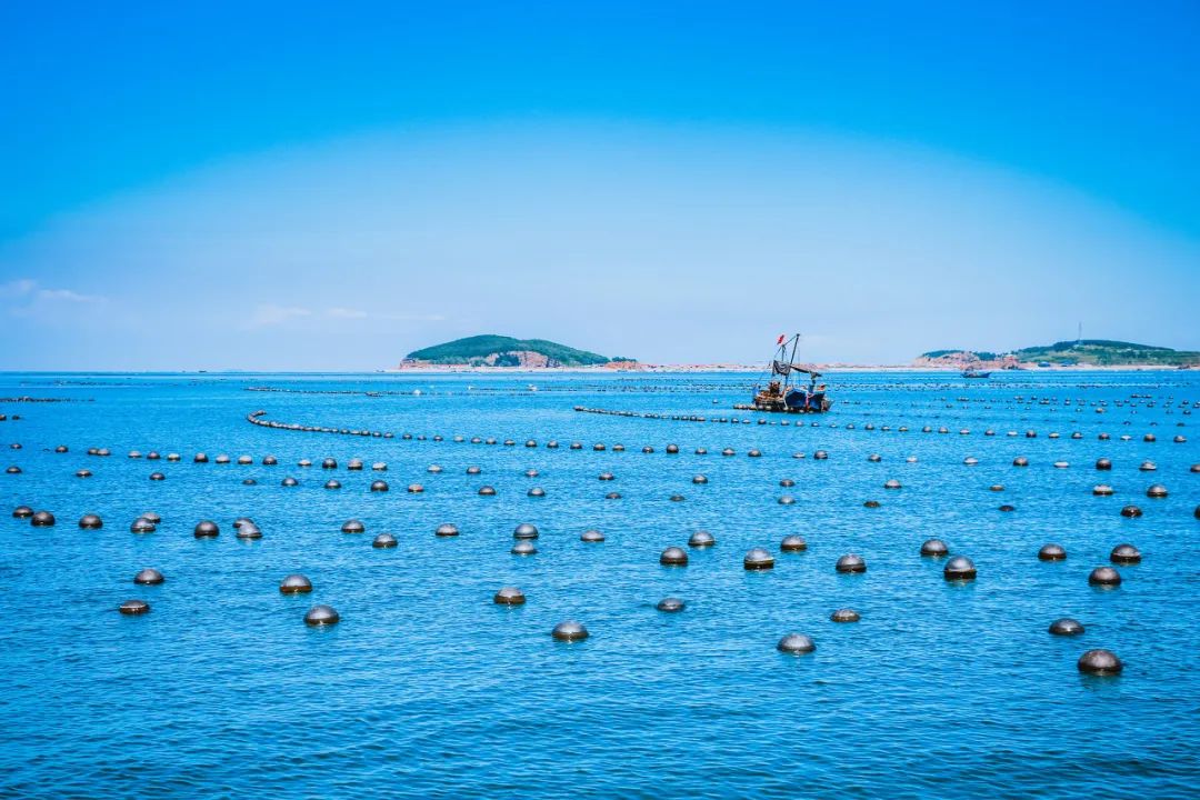 想去大连了,还有人想去大连吗