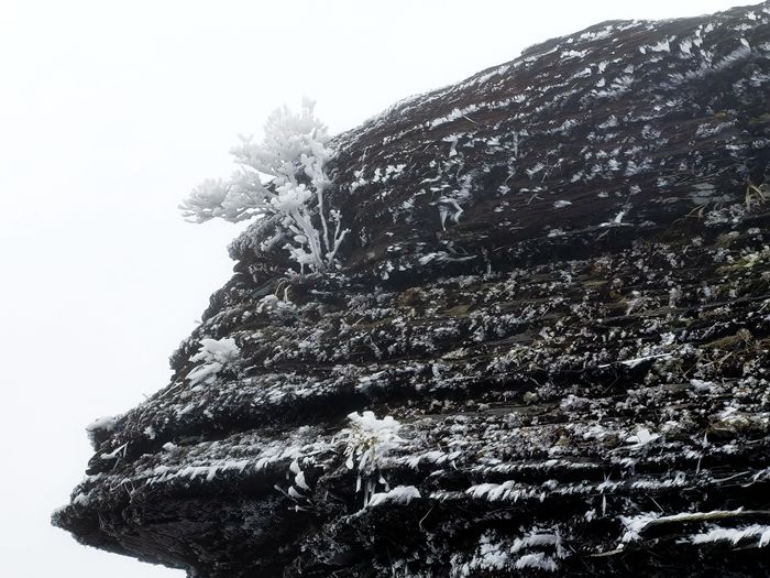 雨中的梵净山景色,烟雨梵净山