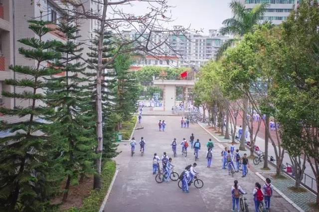 遇见│学艺中学，走过的日子里，想回到那段时光