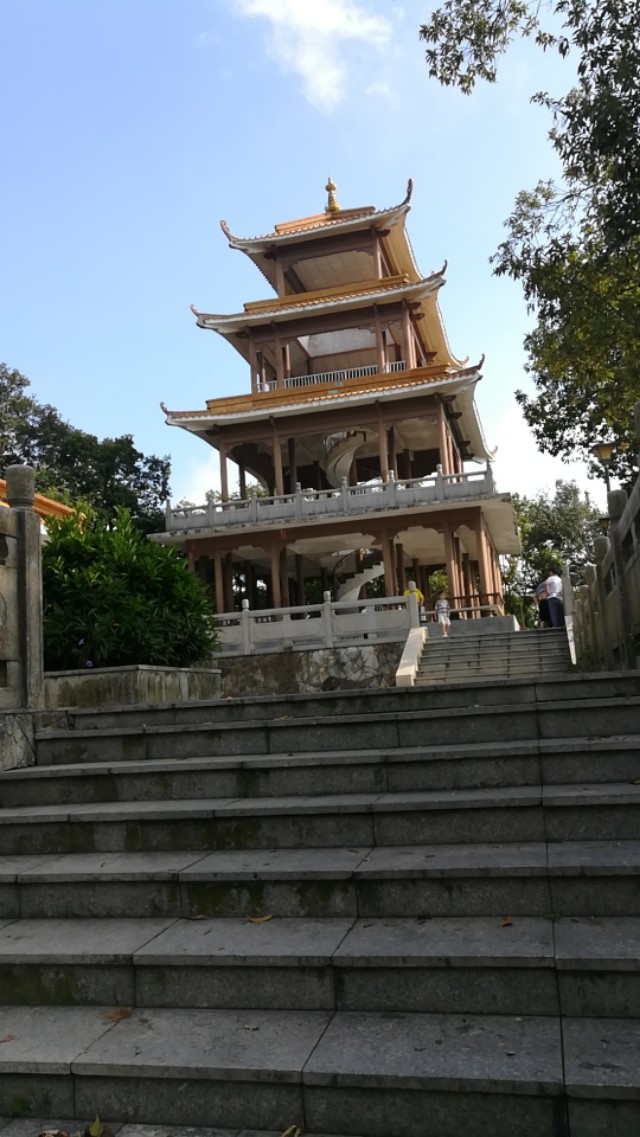 适合发朋友圈青城山后山唯美句子,梧桐山适合发朋友圈的句子