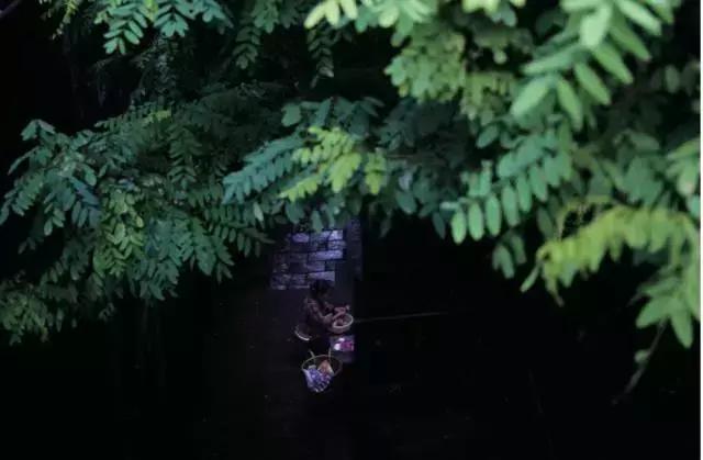 拍照模糊的方法是什么,拍照模糊如何去掉