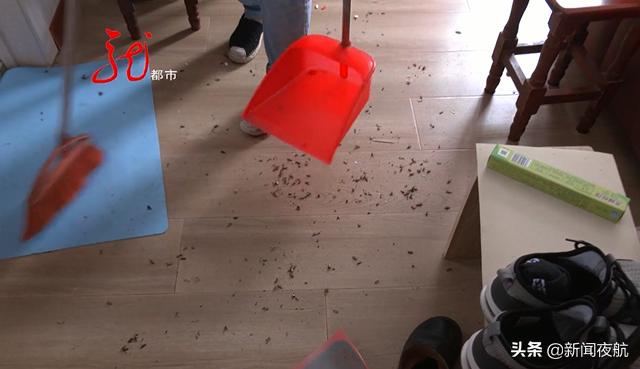 狗叫声此起彼伏,狗叫的此起彼伏