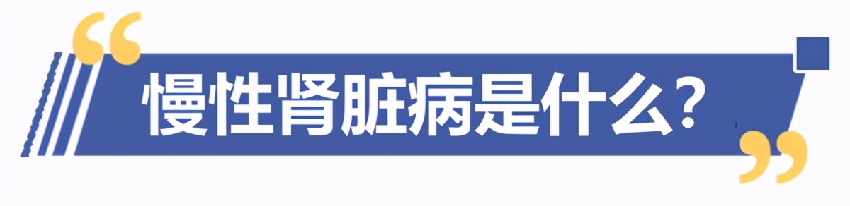 糖尿病肾脏疾病你真正了解吗,肾脏不容忽视