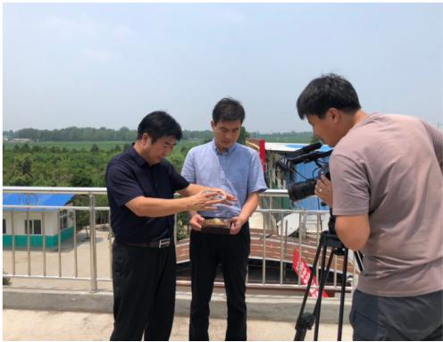 访南阳绿莹艾草生物制品有限公司董事长马文晓