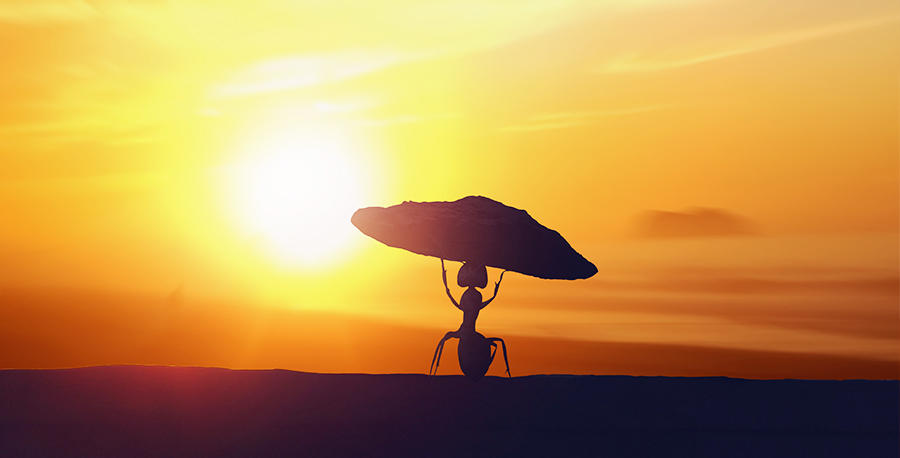 淘宝的发展历程及运营模式,淘宝网的创建者及发展历程介绍