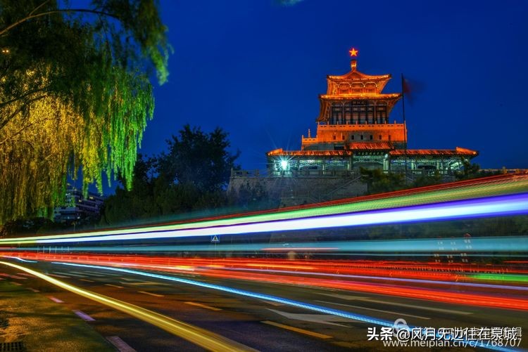 济南秋天的法国梧桐,济南一颗梧桐树