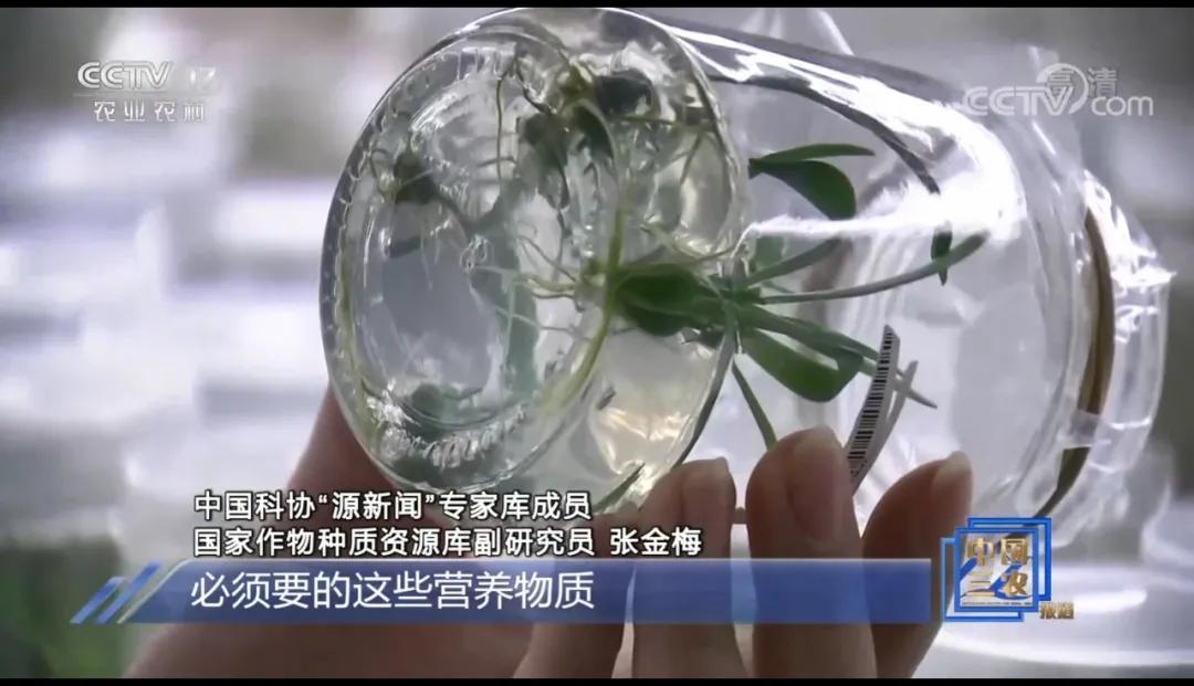 种子如何进入种质库,什么样的种子才可以选入种质库