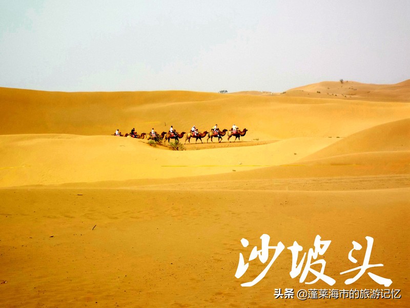 宁夏沙坡头游记,畅游宁夏