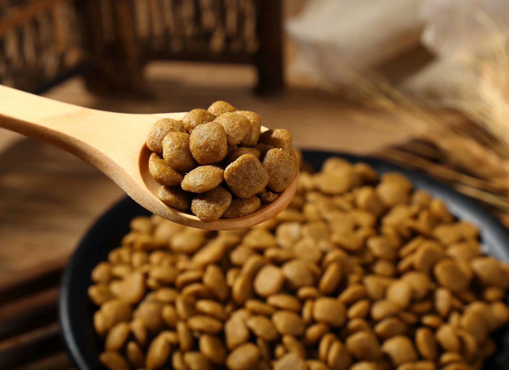 秋田犬吃什么牌子狗粮好,秋田犬都吃什么牌子的狗粮