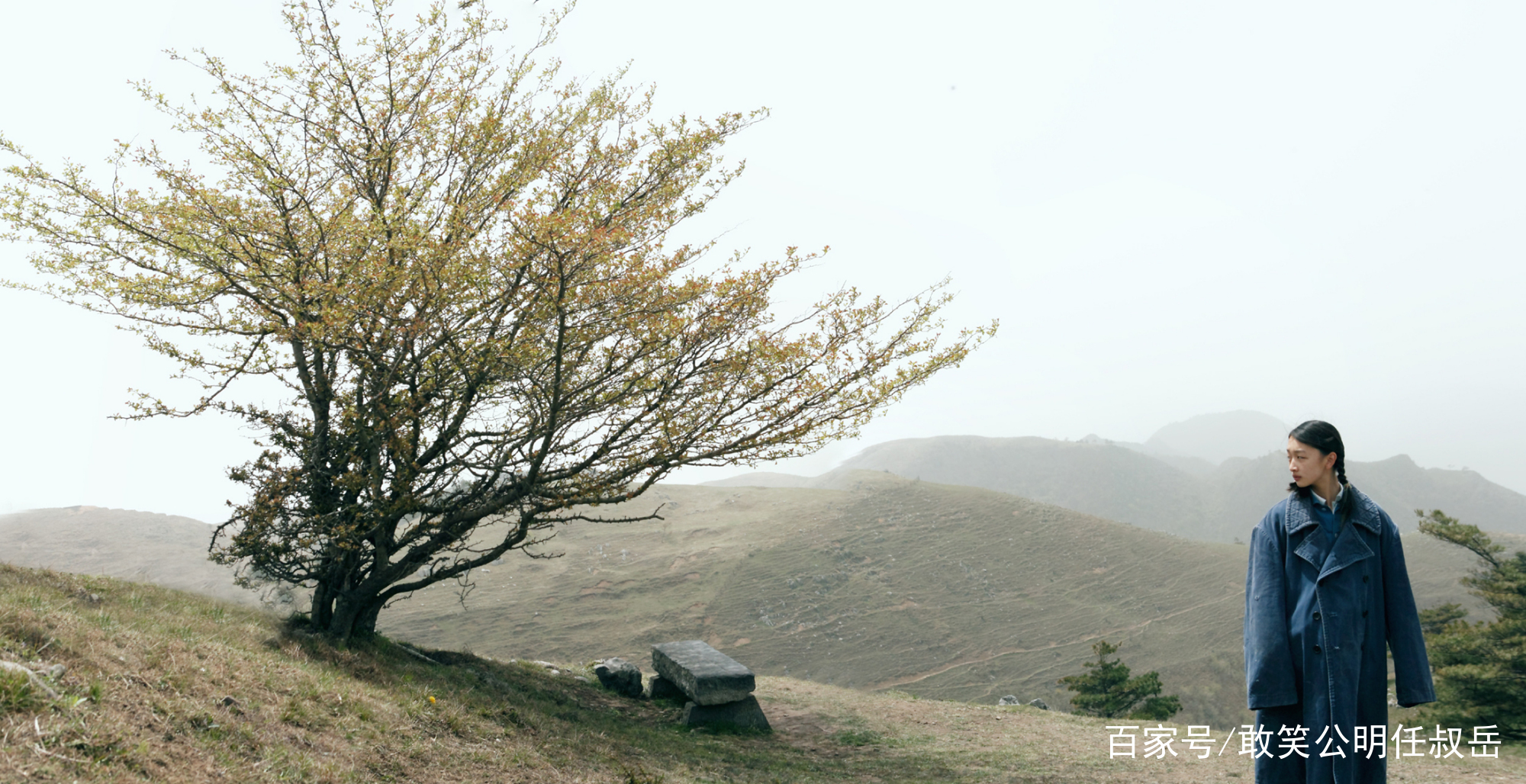 山楂做的水果,山楂做成的食品有哪些