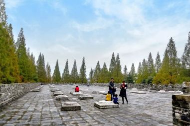 南京公园免费日期,免费公园南京