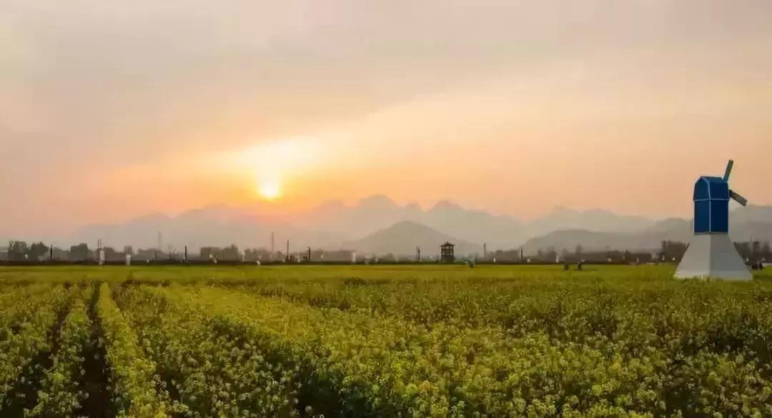 京郊最美的十大花海,京郊这些浪漫花海惊艳初秋的北京