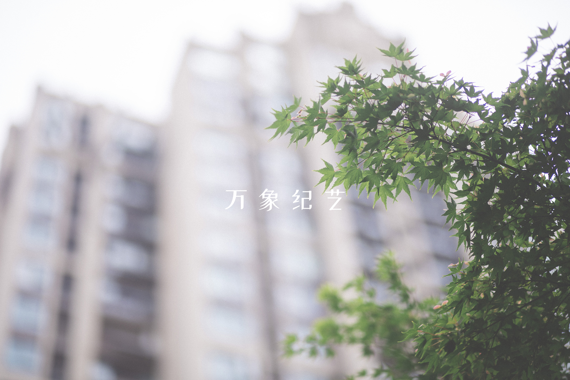 手绘屏保图片手机壁纸,手机壁纸屏保图片可保存至相册