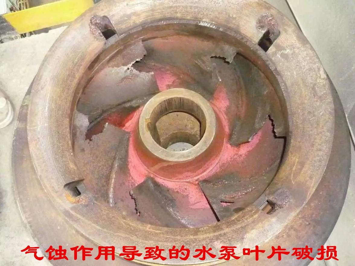为什么汽车水泵叶片会烂掉,怎么判断汽车水泵叶片坏了