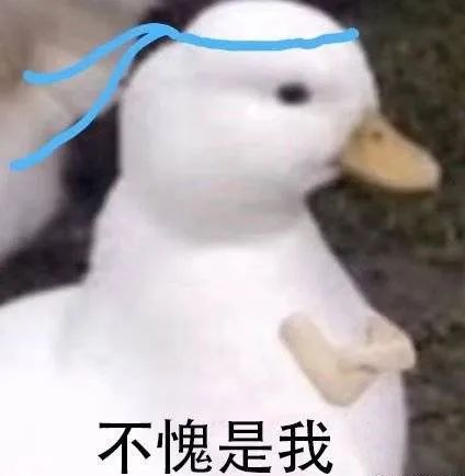 精致女孩实用便宜礼物推荐,精致女孩好看又实用的好物