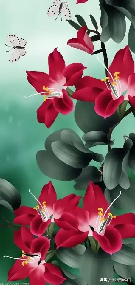 大自然山水美景壁纸全屏,美景壁纸4k全屏