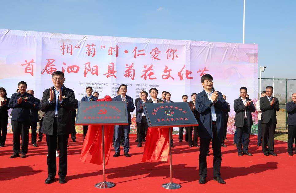 首届菊花节开幕,第三届泗阳菊花文化节