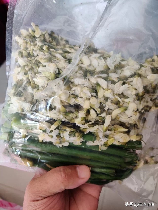 找到了情趣找到了生活