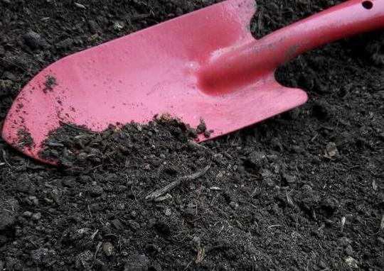 盆栽土如何处理,盆栽土表层全都是根怎么处理