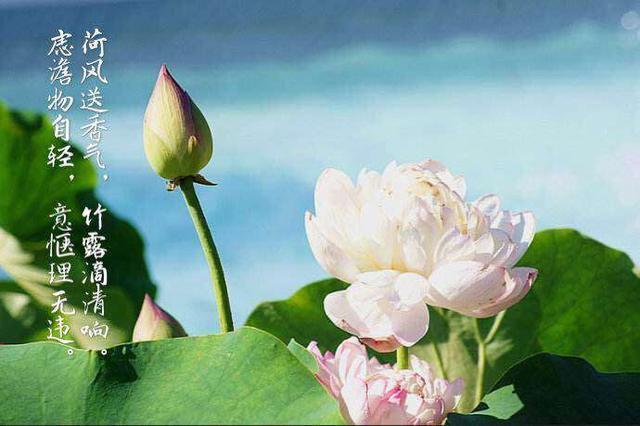 美丽从头开始假发定制,美丽从头开始完整版